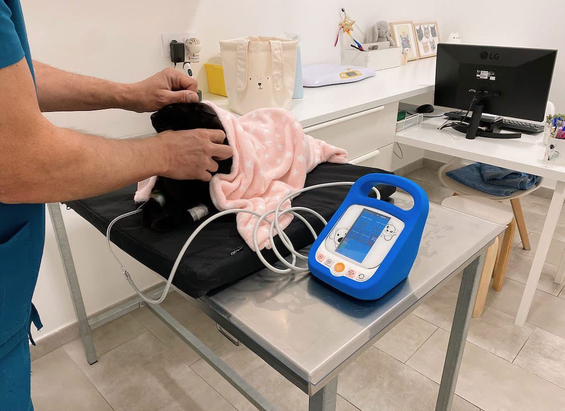 Última tecnología veterinaria en Vigo